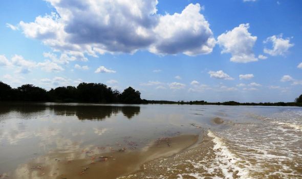 【达尔文印象】达尔文旅游怎么样_达尔文哪里