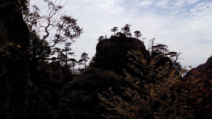 芳菲四月天,二游三清山(玉灵观上风门三清福地西海岸万寿园南海栈道