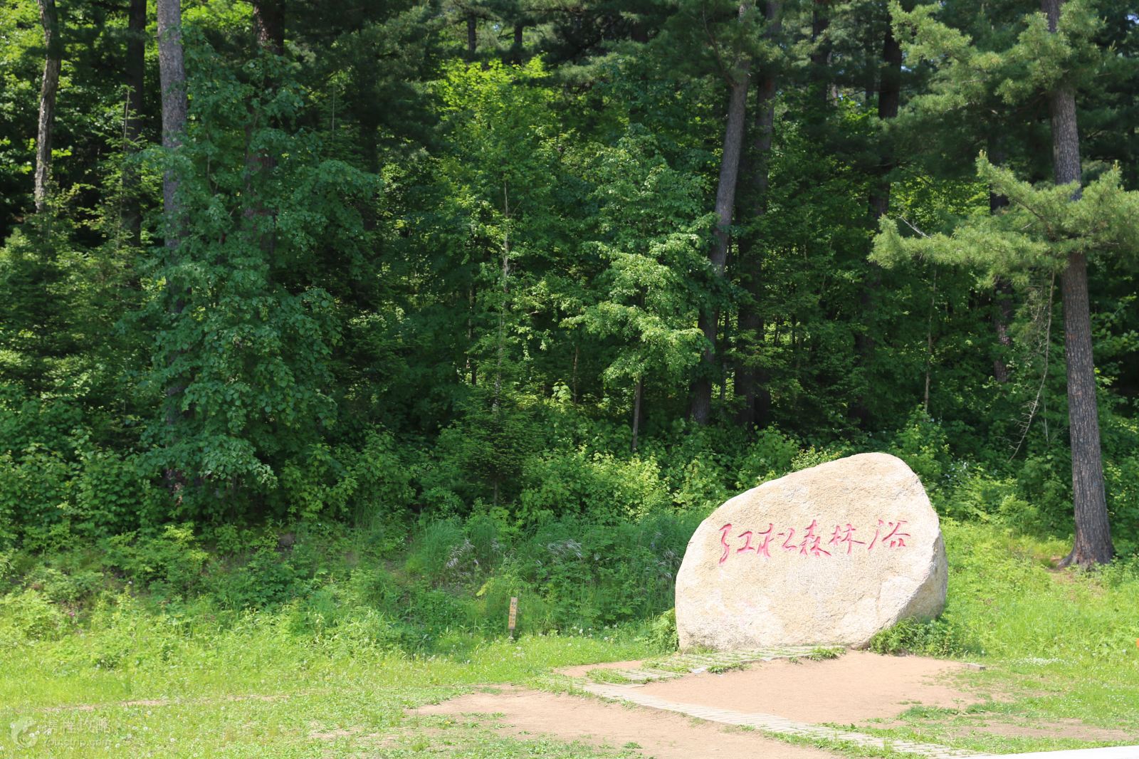 伊春+嘉荫3日2晚跟团游·五营+汤旺河石林+茅