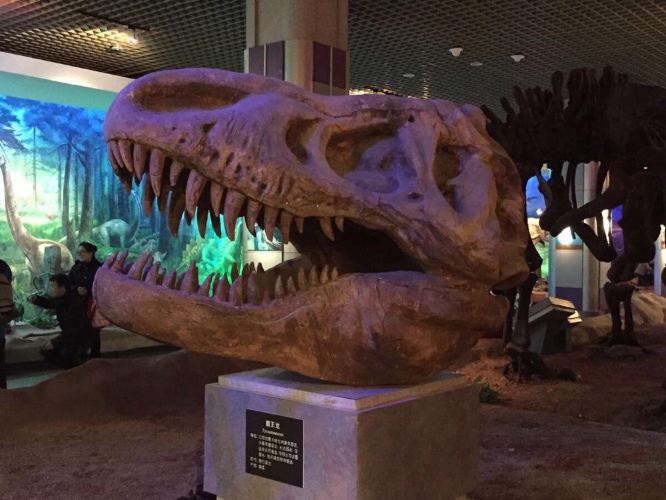 大连自然博物馆、圣亚海洋世界 - 大连游记攻略