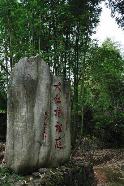 游武夷 虎啸岩 隐屏峰 玉华峰 天游峰 大红袍