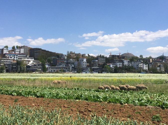湘西-贵西北9日4000公里自驾游【超详细游戏史上最伤脑的自助第25关通关方式图片