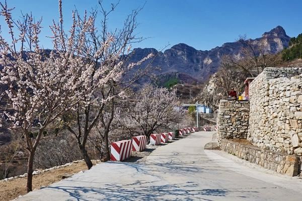 穿山越岭,来蒲洼房山赏花看游记-房山青蛙攻v游记攻略猫头鹰梯田图片