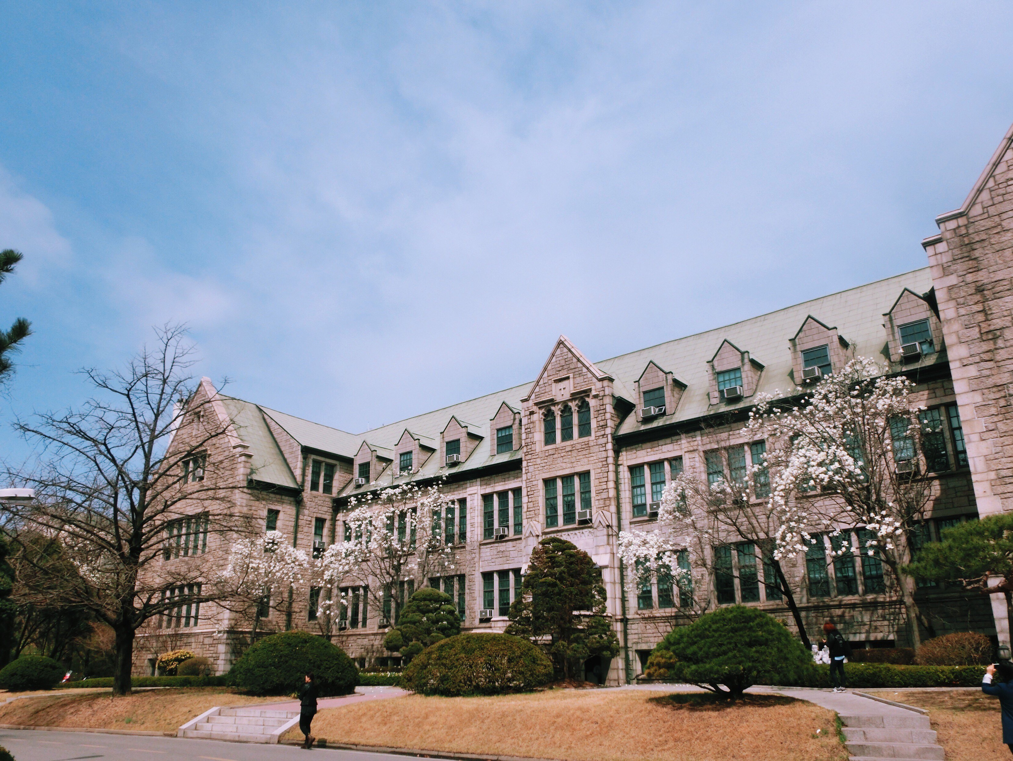 梨花女子大学