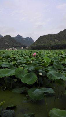 安龙图片,安龙风景图片,安龙旅游照片/景点图片/图库【携程攻略】