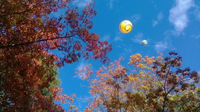 难忘的堪培拉之行 - 堪培拉游记攻略