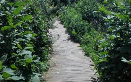 涞水蝎子沟天气预报,历史气温,旅游指数,蝎子沟