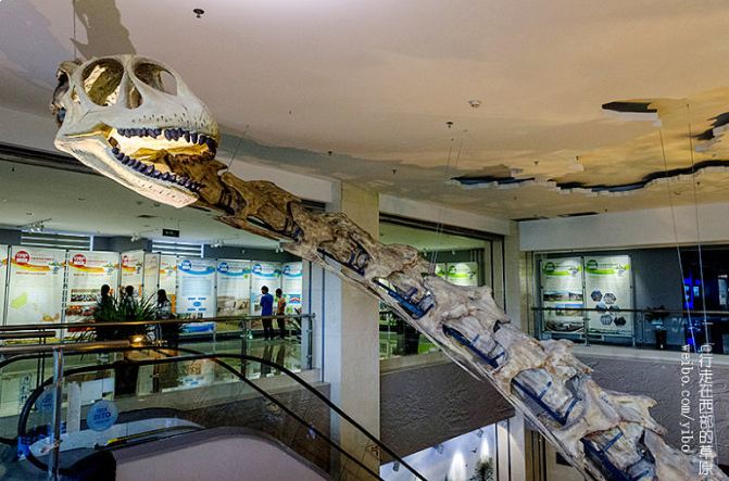 参观甘肃地质博物馆 - 兰州游记攻略