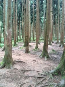【携程图片】邛崃天台山攻略,天台山旅游景点合肥一厦门自驾游攻略图片
