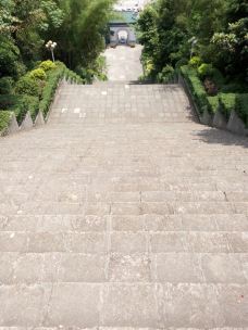 西炮台公园-蒙山-凉茶