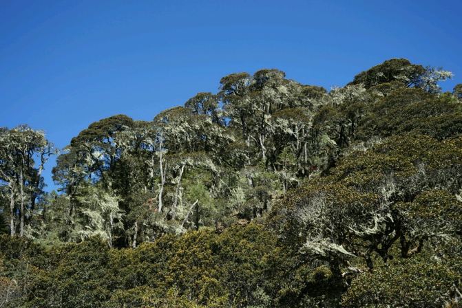 丽江超级旅游攻略【2015丽江旅游旺季新鲜出