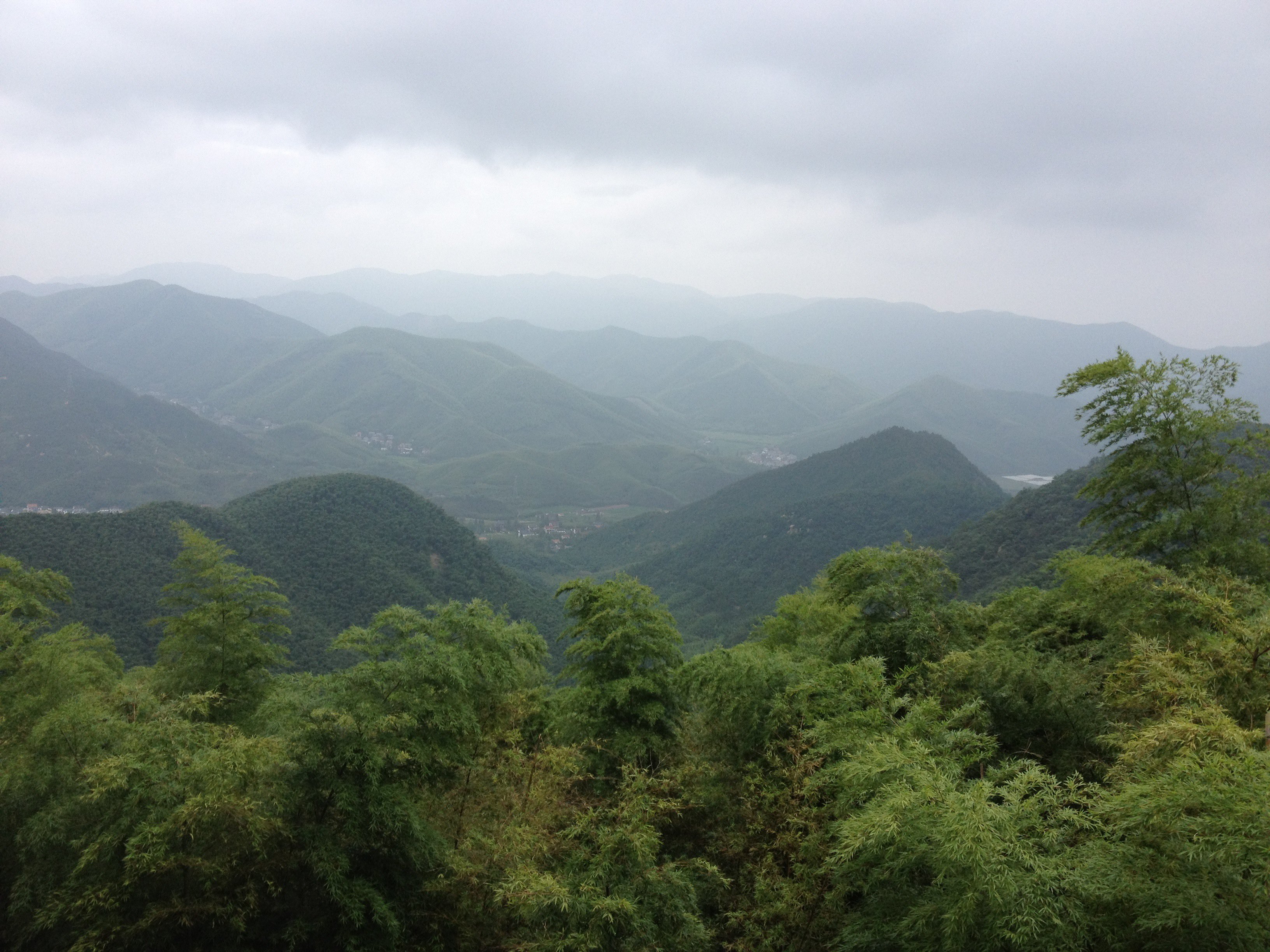 避暑莫干山#清凉莫干山