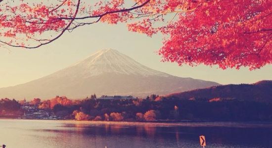 【携程攻略】【包车】富士山、镰仓、箱根包车