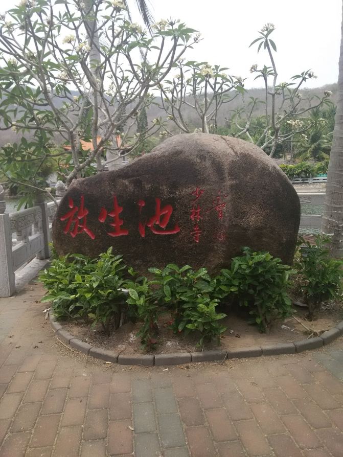 #加游站#坐着公交游三亚---2015超级省钱攻略秘笈水ol主火影图片