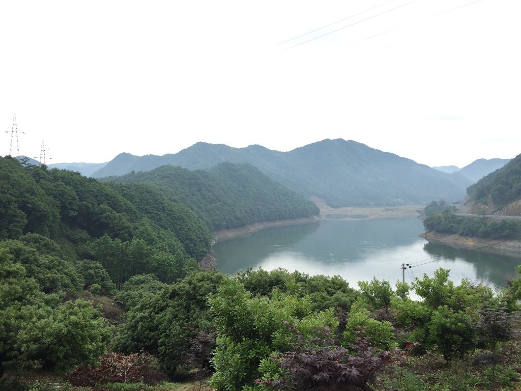 杨梅基地门票价格_陆埠水库梅园岛杨梅基地门票多少钱_玩不啦景点门票