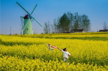 【携程攻略】大丰荷兰花海团购,荷兰花海周边