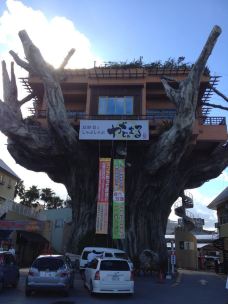 【携程攻略】那霸市树屋图片,树屋旅游景点图