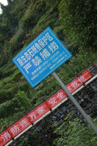 张秘籍带你吃喝玩乐【自驾千岛湖,实用小姐】臭图文攻略日文版作图片