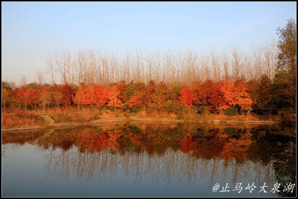 南京的秋天在哪里 在美丽乡村多彩竹镇止马岭大泉湖