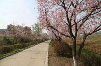 长春石头口门水库周边住宿,石头口门水库附近