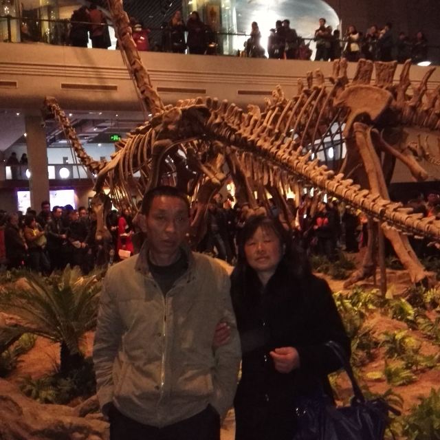 加游站#自贡灯,游记博物馆,乐山大佛春节攻略幽冥恐龙单刷古堡图片