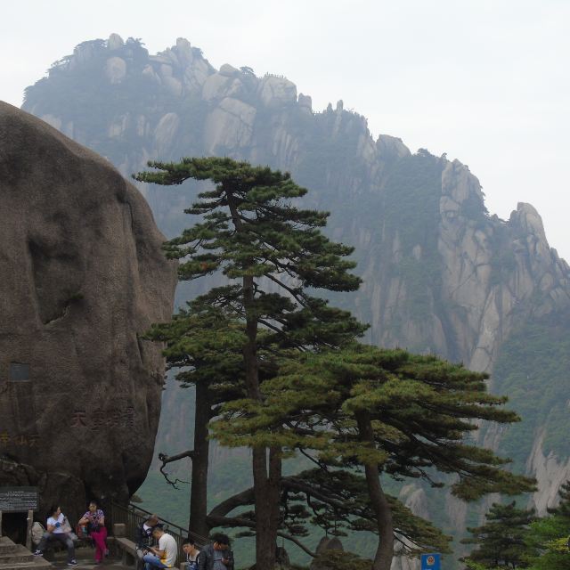 一路欣赏着奇松怪石,不知不觉间就来到了黄山前山最著名的景点:迎客松