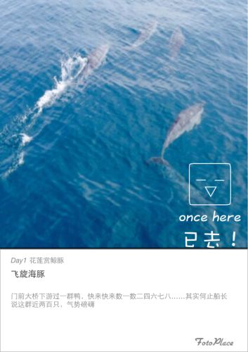 花莲旅拍两日,<em>丢掉</em>手表<em>丢外套丢掉</em>背包再丢烦