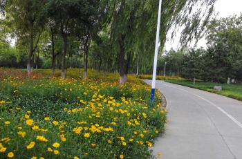 秀水公园,鹿泉秀水公园攻略\/地址\/图片\/门票