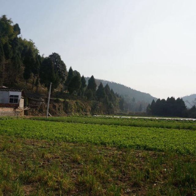 三国战争遗址—  "瓦口隘"在阆中东北方双山垭乡瓦口隘村.