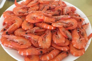 2015阳江海陵岛~美食美景 - 阳江游记攻略