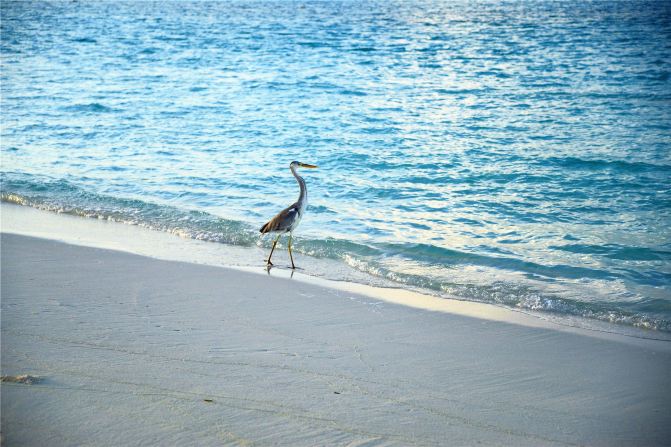 【梦中の天堂】在马尔代夫 太阳岛&假日岛 的