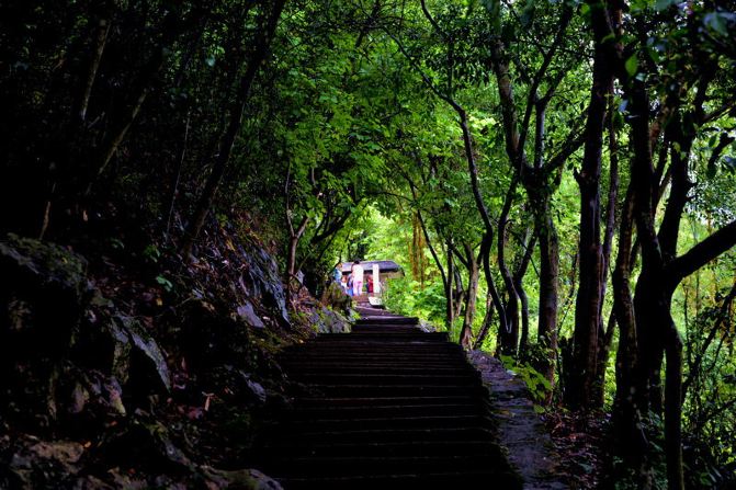 今年鹿峰山景区过三节钻地心,吃粽大赛