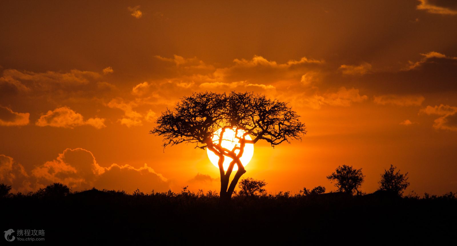 摄影之旅·迪拜+开普敦+内罗毕+马赛马拉国家