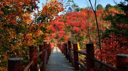 九如山风景区介绍,九如山风景区信息【携程门票】