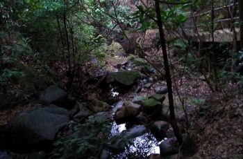 【携程攻略】南丹山风景区门票,佛山南丹山风