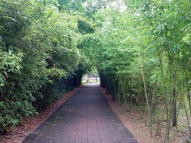 顺德一日游-顺德攻略攻略【携程游记】最囧通关三第六关怎么游戏图片