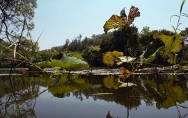 厦门情人谷天气预报,历史气温,旅游指数,情人谷