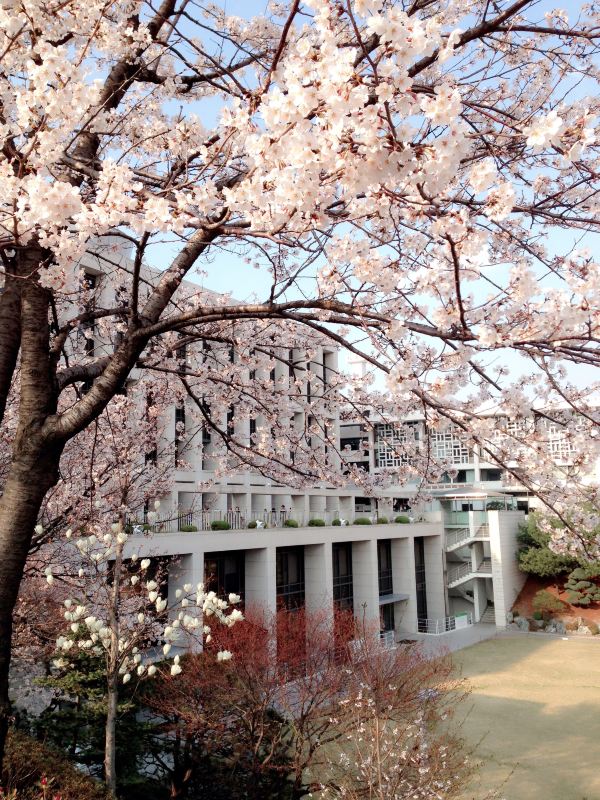 大学周边游之成均馆大学