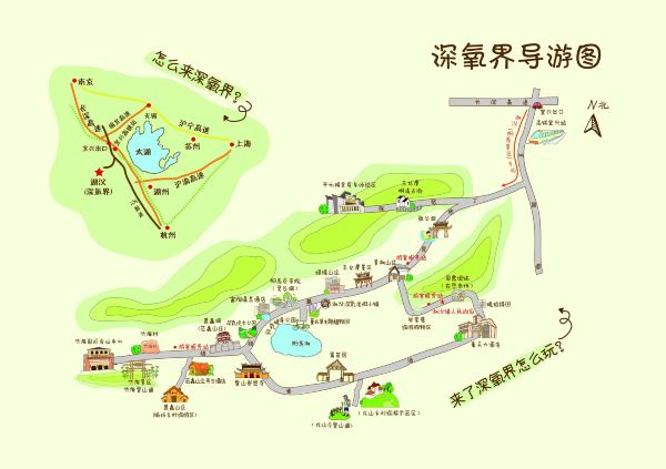 随手拍#在宜兴竹海,读懂这杯茶.