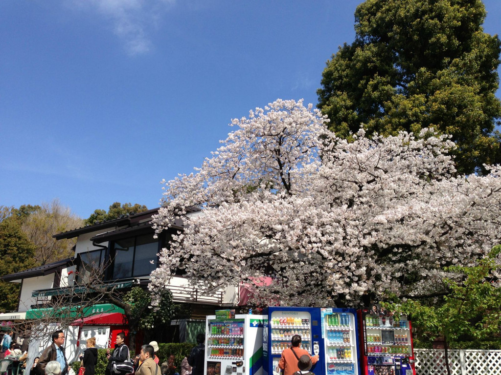 上野公园