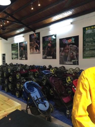 怀着二宝带大宝广州长隆亲子游 - 广州游记攻略