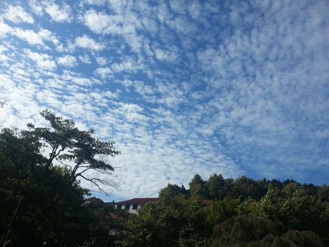 不识庐山真面目 只缘身在此山中(详细攻略东西