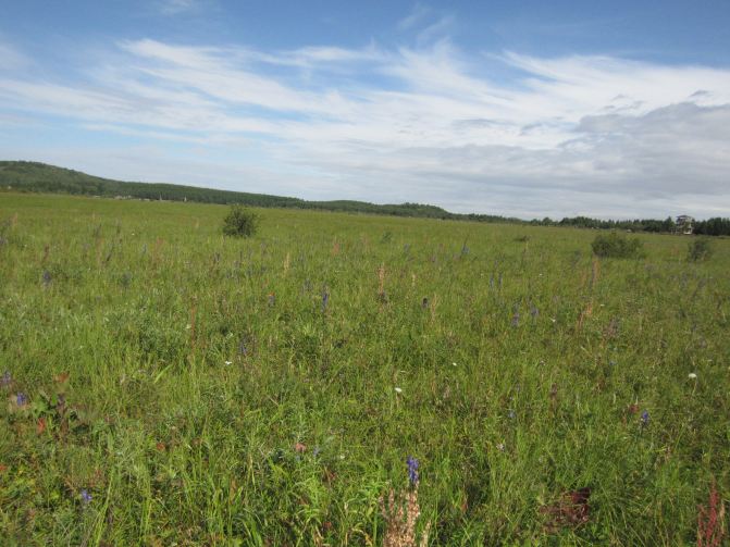 避暑山庄-木兰围场自驾三日游(天津出发) - 围场