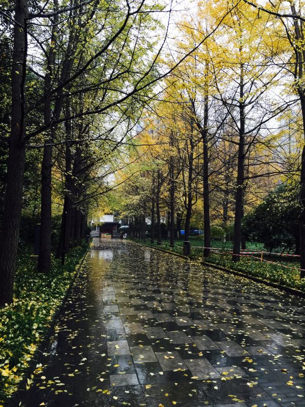 成都,阴雨绵绵,华灯初上