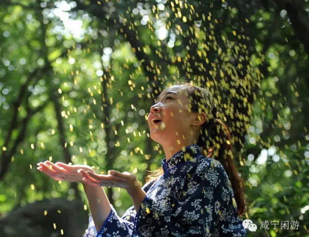 品牌设计:企业形象的美学升级