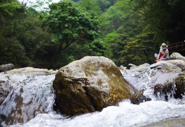 涓涓流淌的小溪 或清或浊 或缓或急 却从不回头 你倚坐在溪边 掬一把