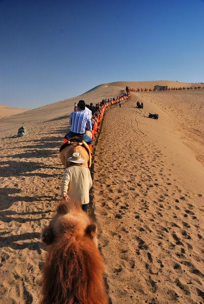 重走 丝绸之路 兰州、武威、张掖、嘉峪关、敦