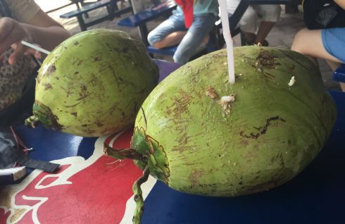 7月初三亚亲子游 - 三亚游记攻略