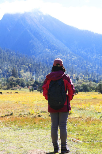 蜜月西藏 - 拉萨游记攻略