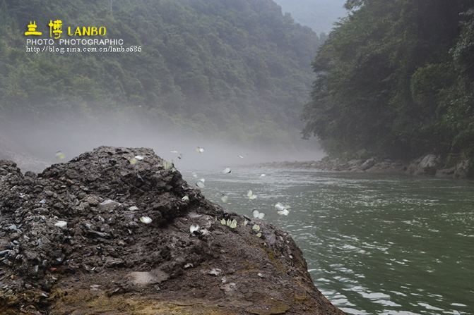 罗溪瑶族乡地处雪峰山腹地,总面积298平方公里,全乡辖17个行政村,102个村小组,居住着瑶、汉、苗、侗、回、壮、白族等七个民族,总人口11178人,其中以瑶族为主体的少数民族人口占总人口的56%。 据民间考查,此地在唐代以前没有地名,自唐代有人迁徒该地居住以后,发觉这里的溪河经常涨水,导致河床移位,于是就有人戏称为挪溪,意为挪动的溪流。人们为了便于生产,就用石块围成多弯状的河堤,妄图阻止溪流经常挪动,可是一场大雨又将堤冲垮,人们只好垮了又修,修了又垮于是有人觉得可能是挪字不好,便将挪字的提手